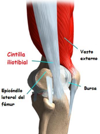 cintilla-iliotibial-11