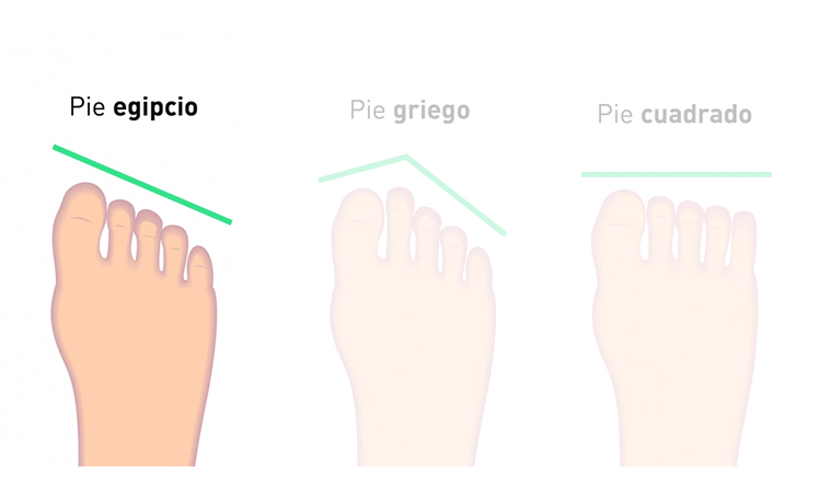 Infografía del pie egipcio